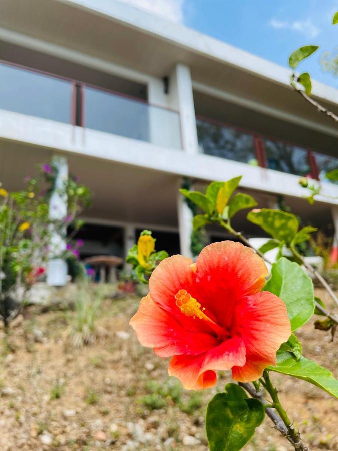Coibahouse Hotel Santa Catalina Kültér fotó